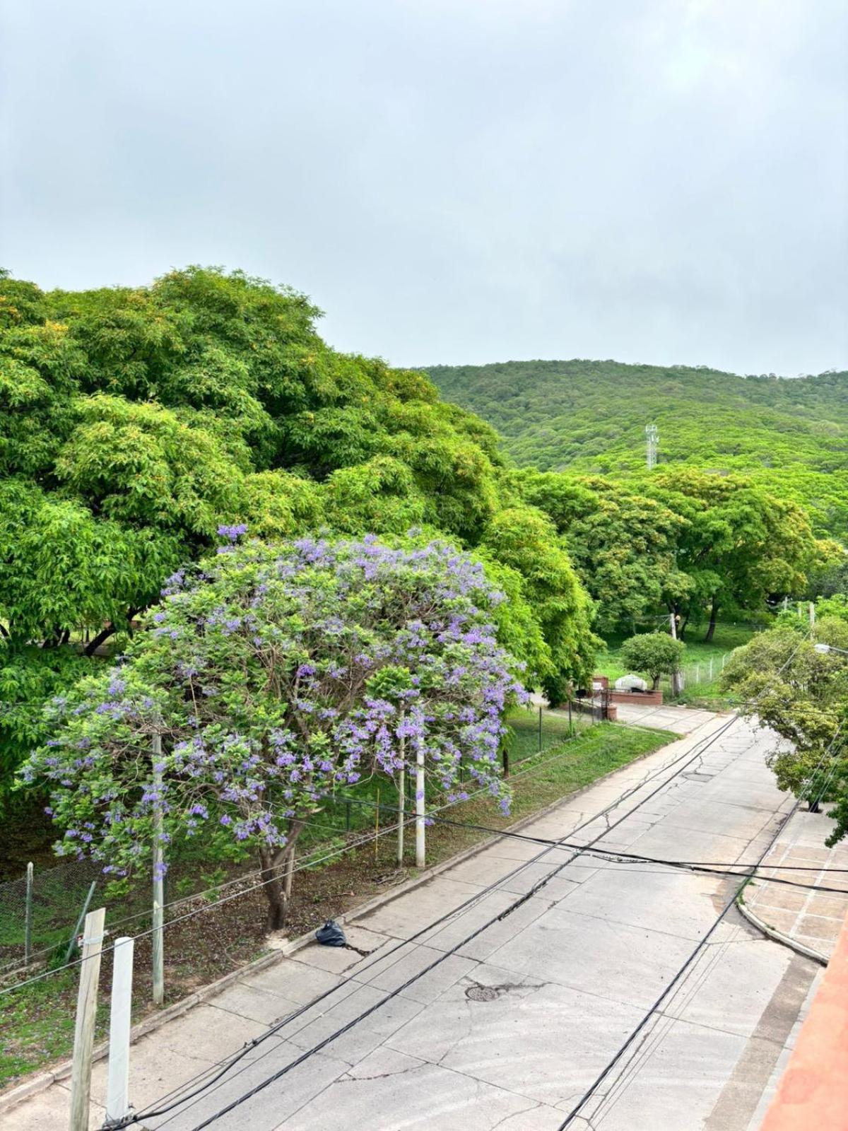 Guest House Salta Exterior photo